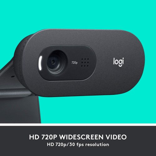 Logitech C505 HD Webcam 720p HD External USB Camera for Desktop or Laptop with Long-Range Microphone hover view